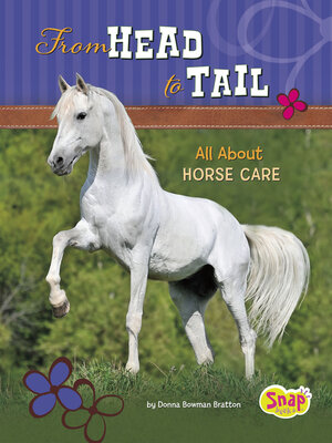cover image of From Head to Tail